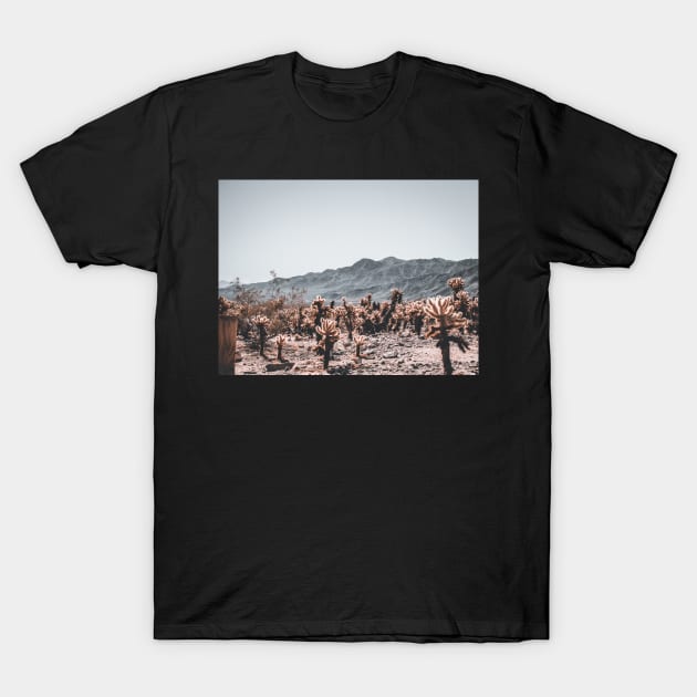 Photo of Cholla Cactus at Joshua Tree National Park V2 T-Shirt by Family journey with God